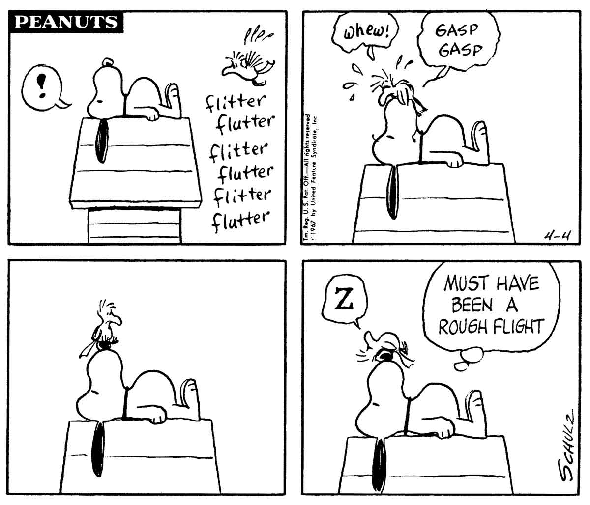 朝0時迄 スヌーピー フェイスタオル ウッドストック 兄弟