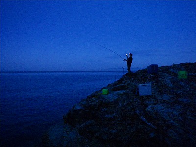 雑賀崎シーパーク」でカンパチやタイなど大物ゲット♪和歌浦特集まいぷれ 和歌山市