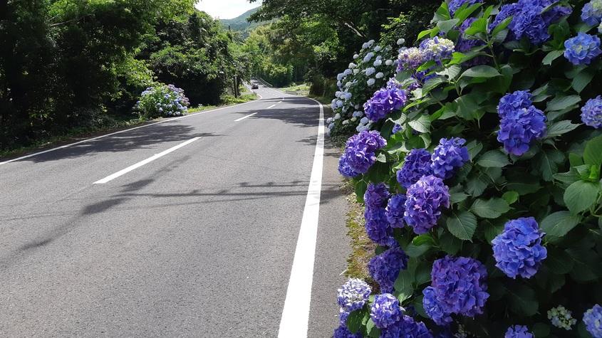 しおさいロードPA～日本海が見える休憩所～: マーチ改めインサイト～ドライブステーション～