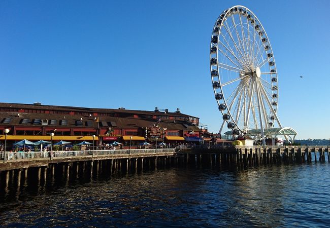 解説 ウォーターフロントパークはどんな所？シェリーメイに会えるTDSの貴重な公園
