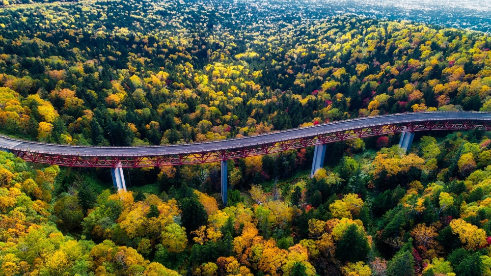 知られざる絶景ロード！北海道川湯温泉の紅葉トンネルオリコンニュース ORICON NEWS