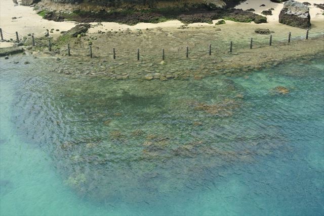 ビーチの中に道路?那覇唯一の海開きも開催「波の上ビーチ」は非日常の嵐! 沖縄本島那覇エリアの旅行記 旅行ガイド