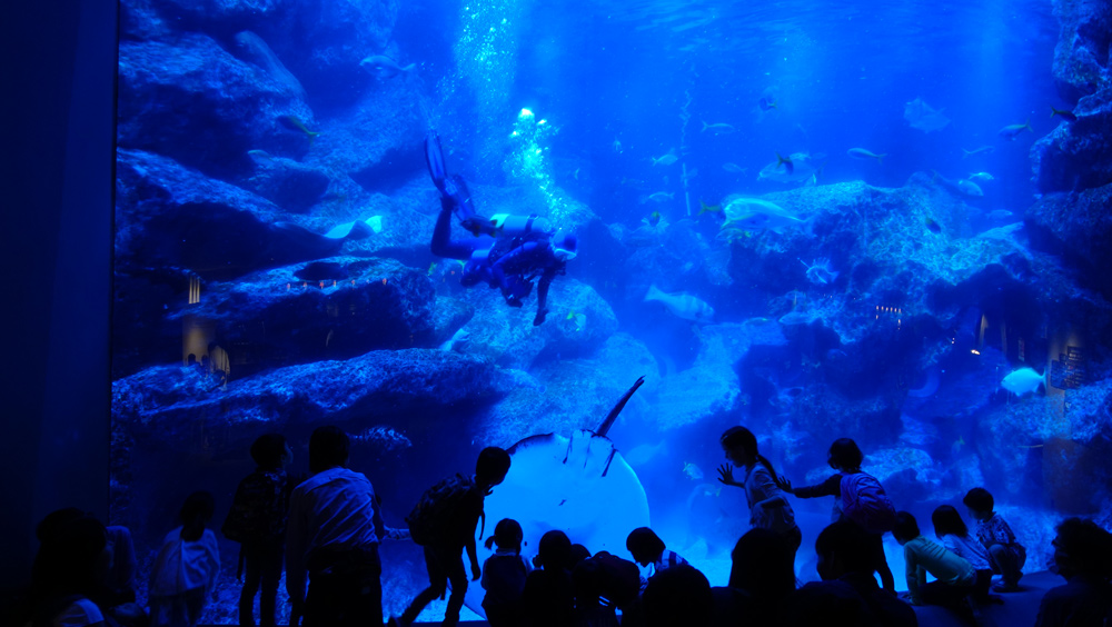 使用済みチケット 東京スカイツリー パンフレット