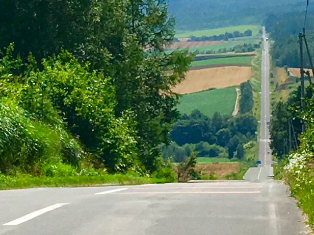 ジェットコースターの路 アクセス・営業時間・料金情報 -