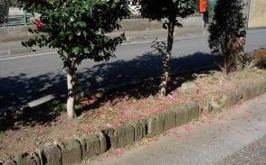 下河原緑道 - 中央線が好きだ。web公式