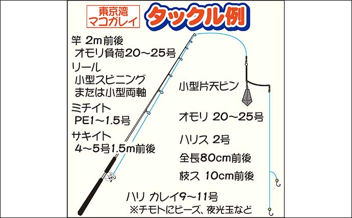 カレイの釣り方と魅力北海道のおすすめポイントとシーズン釣果即戦力釣り情報