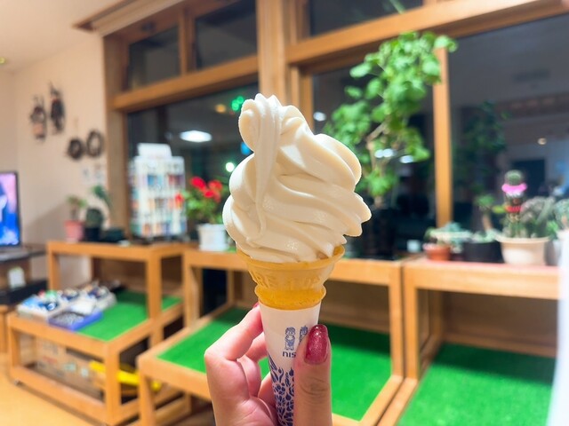 沼木温泉 辻ヶ花 山形 の口コミ情報一覧ニフティ温泉