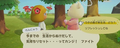 あつ森 2025年版 カモミの誕生日と性格