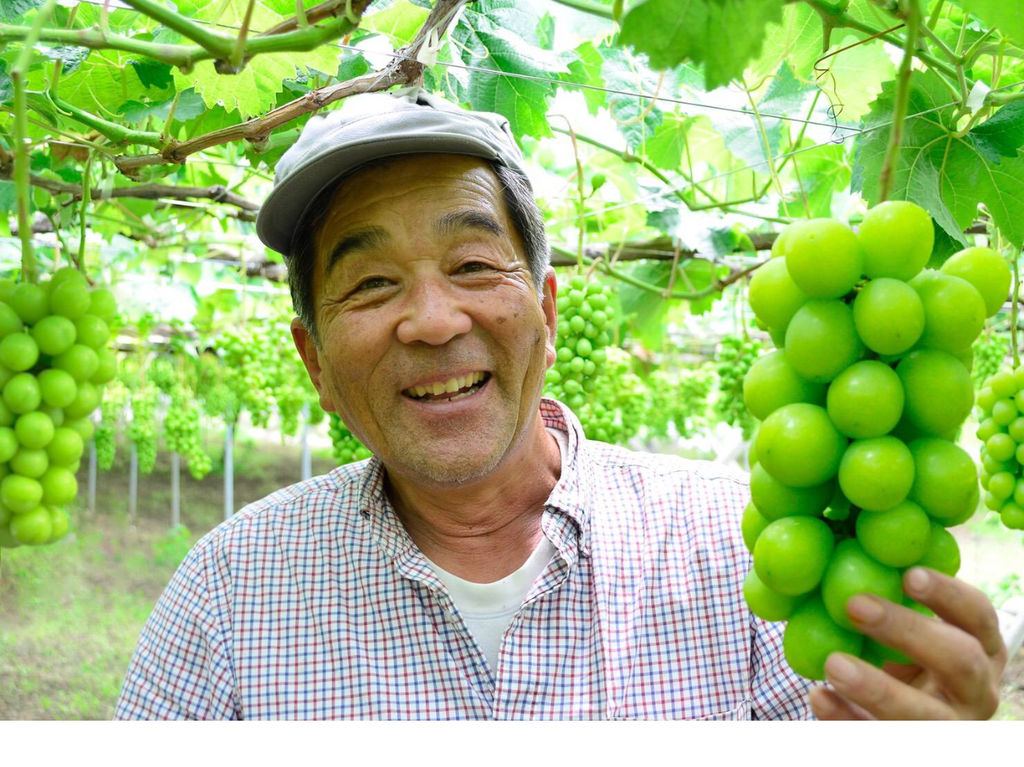 勝沼ぶどう郷駅周辺のぶどう狩りランキングTOP10 - じゃらんnet