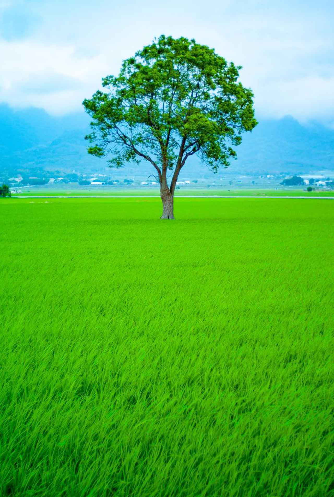 希少品！日本統治下 基隆市 台湾