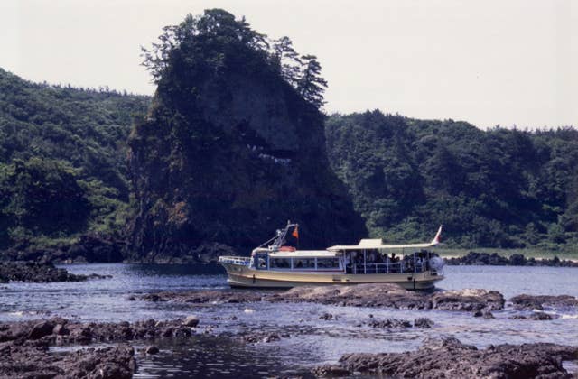 tee tea & Poodles 🐾