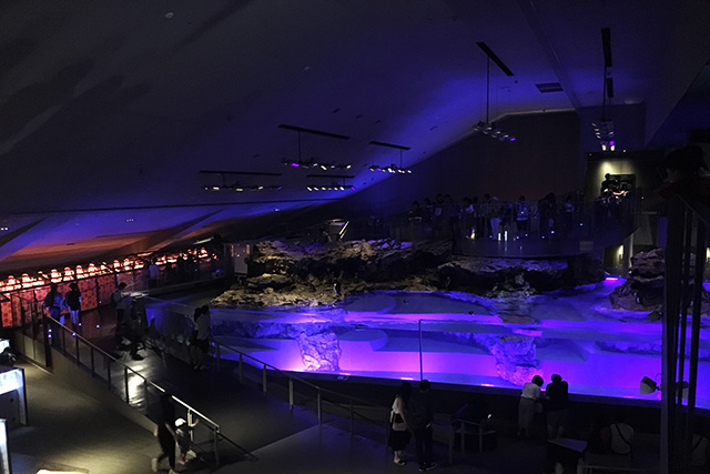 東京スカイツリータウン R チケ得サービスイベント＆キャンペーン東京ソラマチ