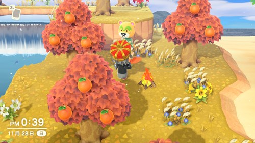 あつ森 キャンプサイトの作り方とできること あつまれどうぶつの森AppMedia