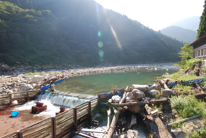 美山観光ヤナ復活 , 岐阜といえば ヤナ