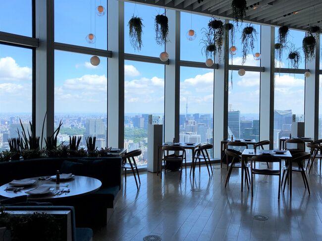 六本木ランチはココで決まり！おすすめコスパよしのお店をご紹介 - まっぷるウェブ