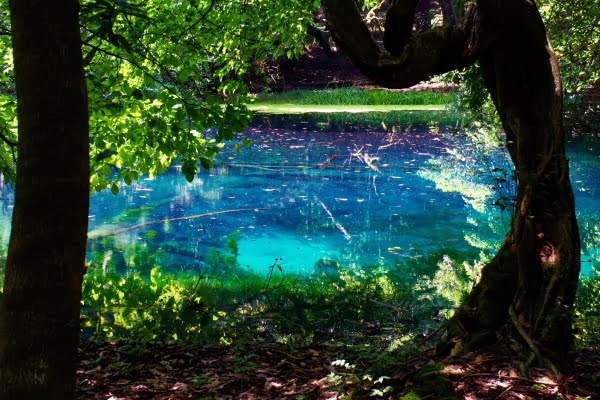 丸池様 瑠璃色に輝く神秘的な丸池とその周辺の観光スポットを紹介します！ -