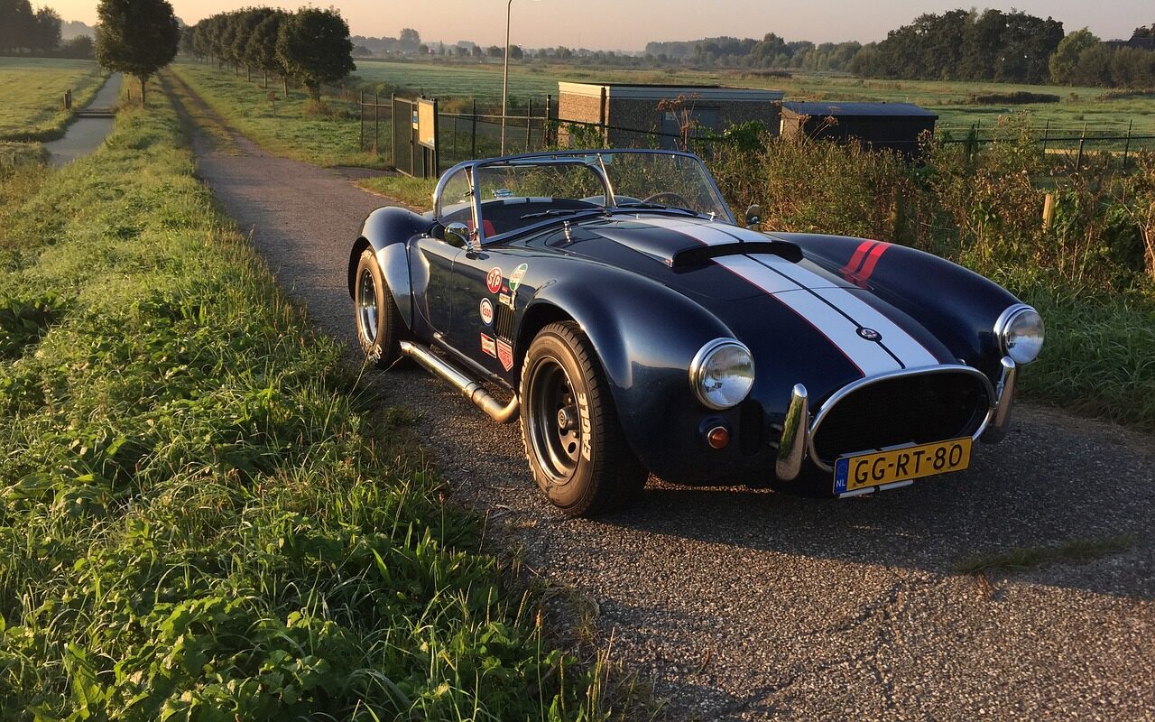 Acコブラ」のアイデア 170 件acコブラ, コブラ,