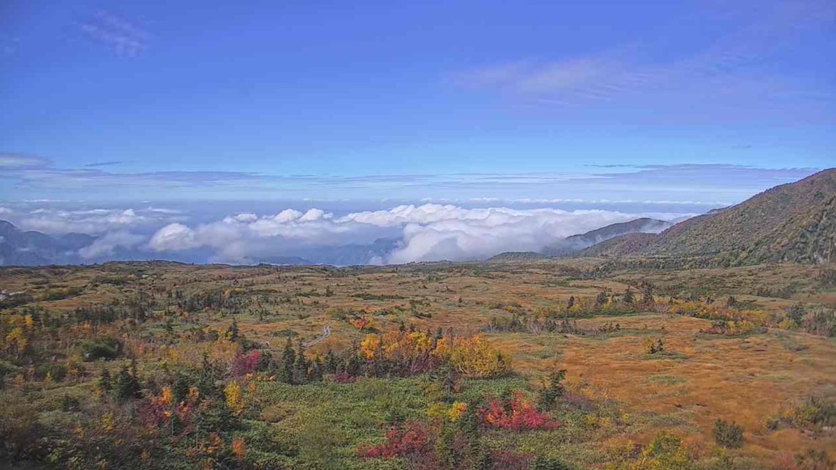 パタヤ パタヤビーチのライブカメラ