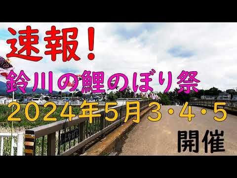 良く泳いでいました🎏こどもの日鈴川鯉のぼりまつりこいのぼり鯉のぼり鈴川岡崎平塚湘南ゴールデンウィーク
