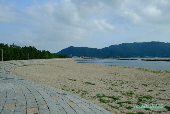 2025年 鳴門スカイライン - 出発前に知っておくべきことすべて -