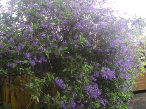 恩納村希望ヶ丘ペンション研修館