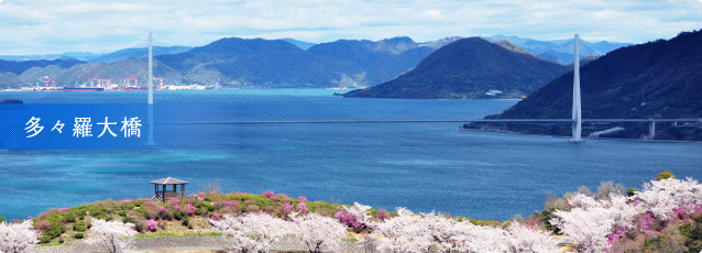 ドローンによるしまなみ海道の多々羅大橋 10173003885 の写真・イラスト素材アマナイメージズ