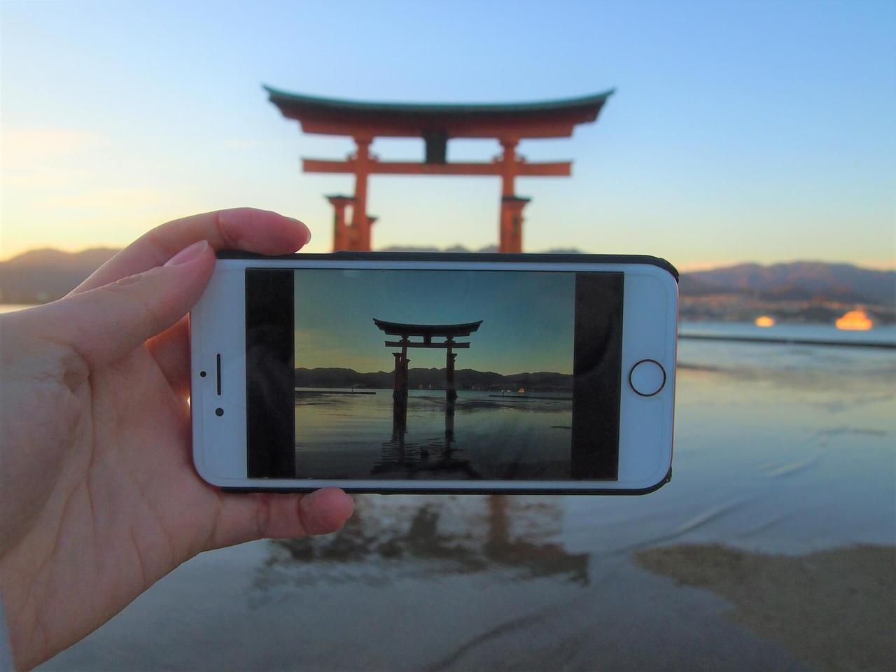 おひとり様限定 国内ゴールデンウィークツアー・旅行2026ひとり旅・ツアー│クラブツーリズム