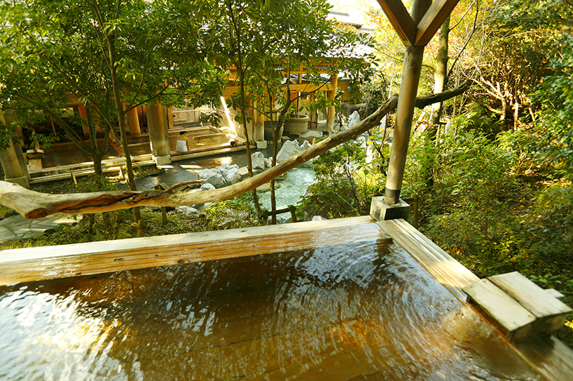 河津桜河津町 周辺のおすすめホテル・旅館10選 2025年