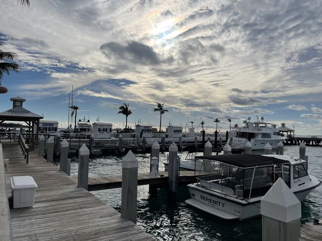 ハワイ島 アメリカ最南端のサウスポイントってどんなところ？見どころやハワイ島のおすすめツアーについて - ハワイツアーズ