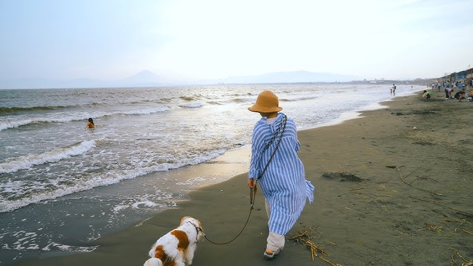今頃の海の家PHOTO HUB by
