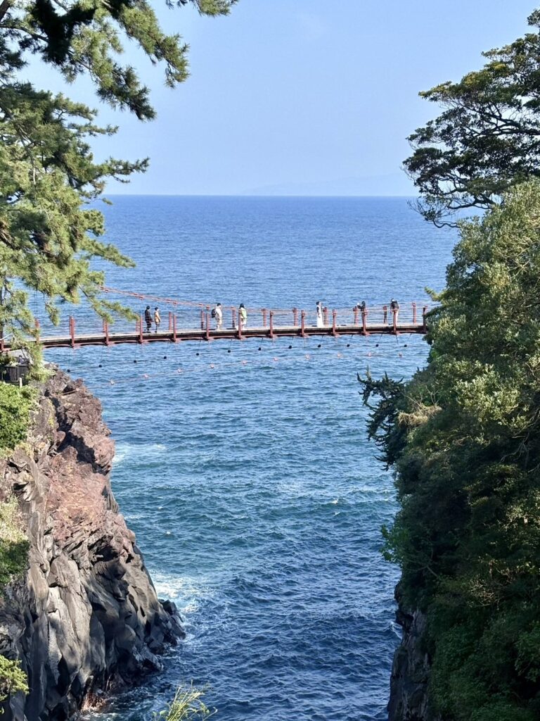 グランイルミ」6thシーズンスタート！ 伊豆高原周辺を遊びつくそう 1 2- コラムWOMO