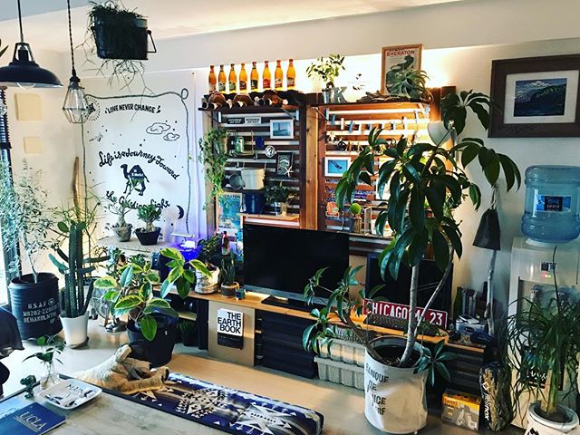 部屋全体 アウトドア 山小屋カフェ風 団地リノベーション アウトドアインテリア