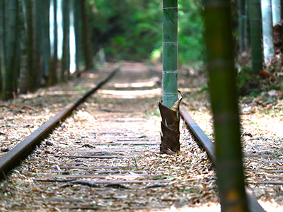 廃線鉄とは？ 廃線が好きな鉄道ファンの楽しみ方とおすすめスポット10選！JREメディア