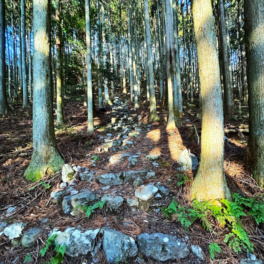椿大神社 第3駐車場 登山者用駐車場 入道ヶ岳登山口-