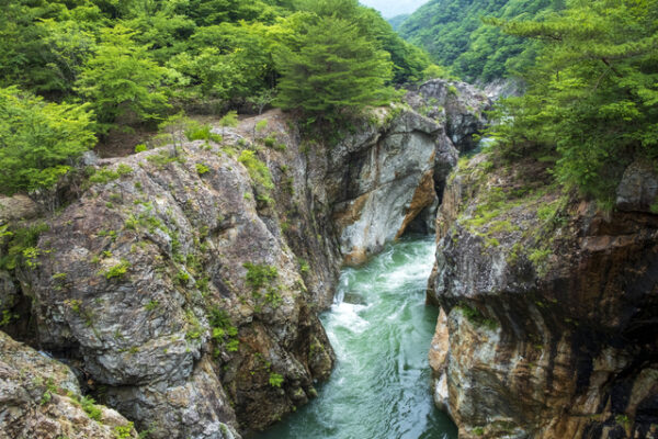 最新 栃木 人気旅ライターおすすめ！絶対楽しい人気穴場遊びスポット・観光やグルメやドライブデートにおすすめ厳選ランキング！人気・穴場スポットランキング！-