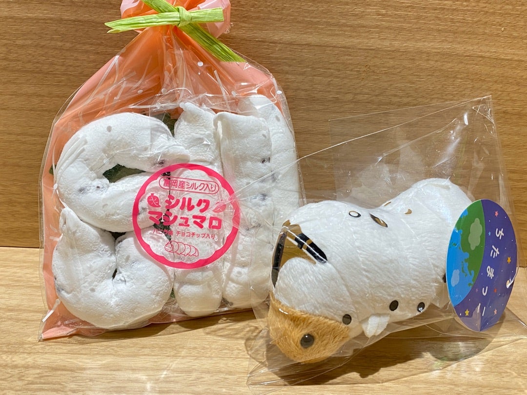 群馬旅行④ 富岡製糸場の厳しい現状とこんにゃく食べ放題💡SHOGOの好きが見つかるノート💡