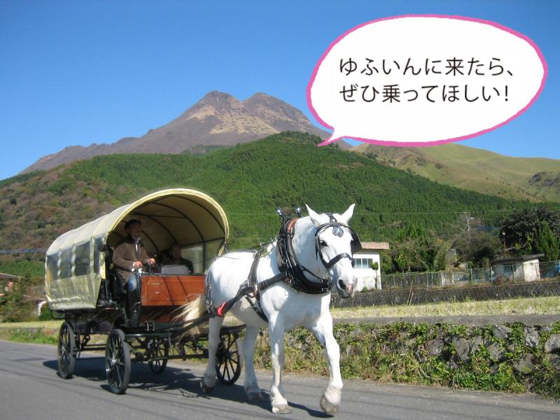 由布院・観光辻馬車