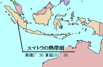FoE Japan森林保全と生物多様性
