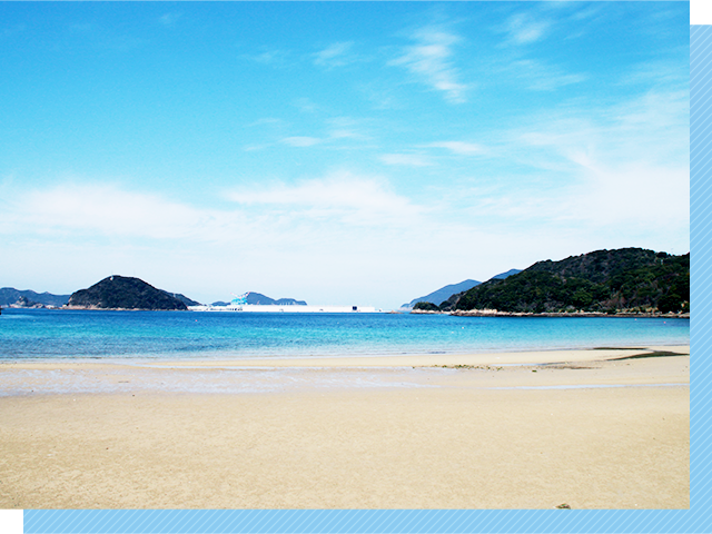 シュノーケリング五島列島 旅行の観光・オプショナルツアー予約 VELTRA ベルトラ