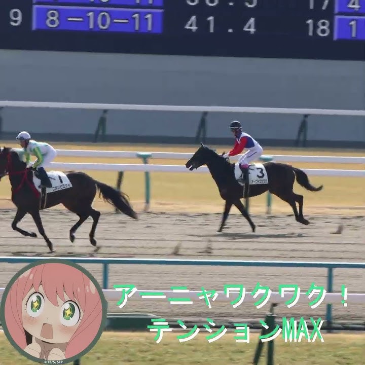 SR仕様 上機嫌 アーニャ