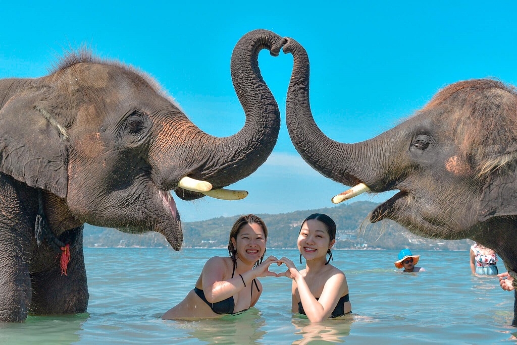 プーケット・ラッキービーチで象と水遊び体験Elephants Swims Lucky BeachTaoTaiLang