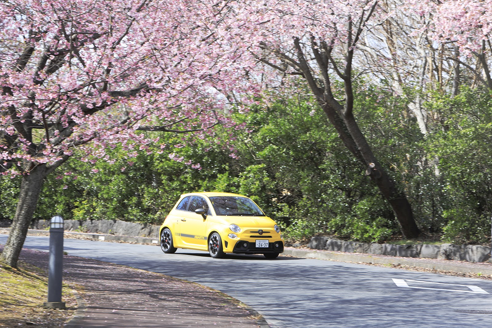 東京 2021春はお花見ドライブ！車で出掛けたい都内の桜の名所6選話題の「お花見タクシー」サービスもNAVITIME Travel