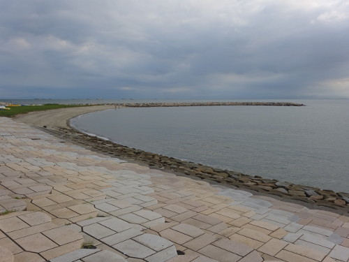 きららビーチ」でのサヨリ釣りで本命11尾 山口 遊動カゴ仕掛けで挑戦TSURINEWS