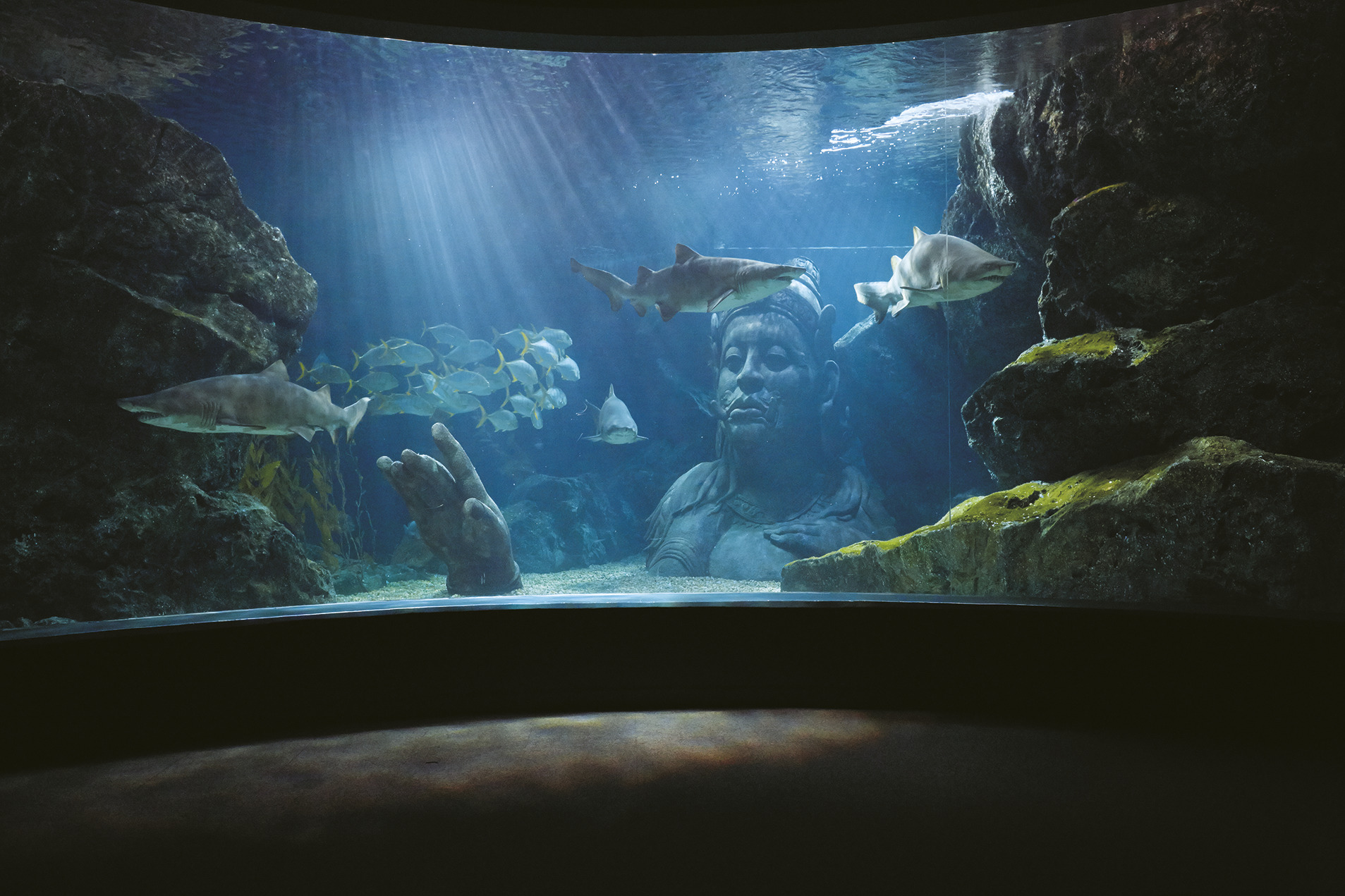 バンコクの水族館「シーライフ・バンコク」完全ガイド！入場料・行き方・見どころを解説