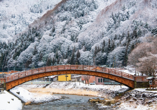 道の駅奈良井木曽の大橋長野県塩尻市- 佳景探訪