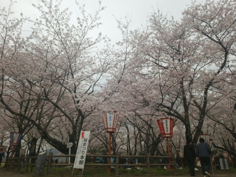 イベント情報 大分県内の4月開催ピックアップイベント①ドリップまとめOITA Drip. オオイタドリップ大分県下最大級の総合情報サイト