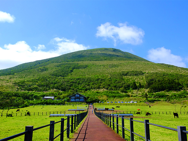 八丈島 南国パラダイスの観光スポット25選