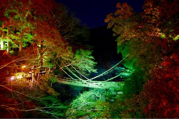 祖谷のかずら橋 の周辺スポット・アクセス・口コミ - Prism