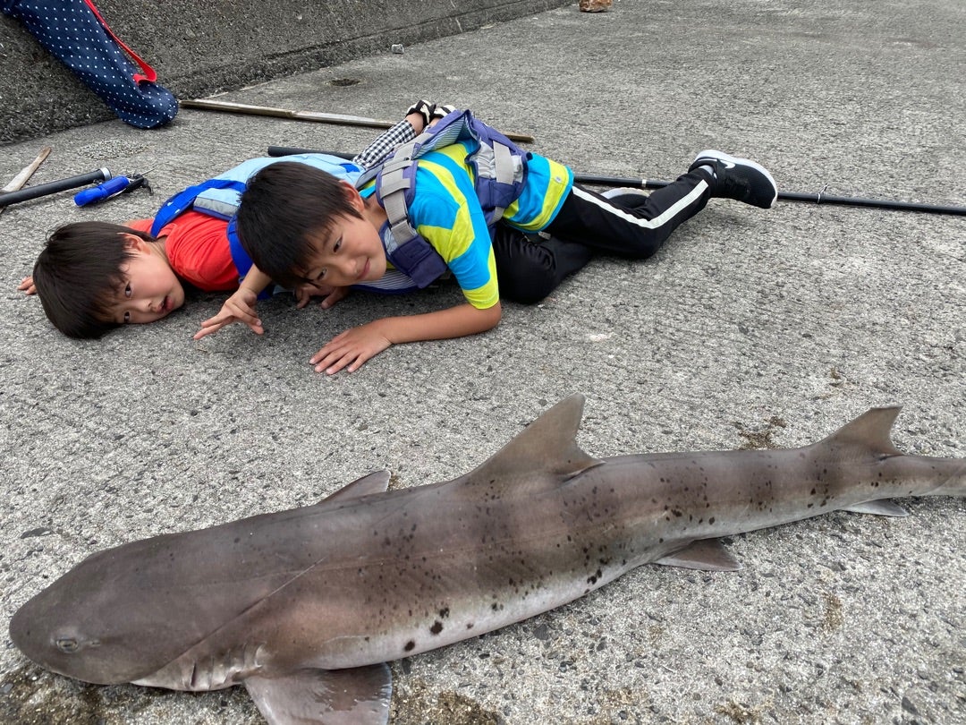 山陽小野田市 きららビーチ焼野 - 釣り・アウトドア