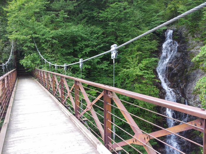 奥多摩大橋 - Wikipedia